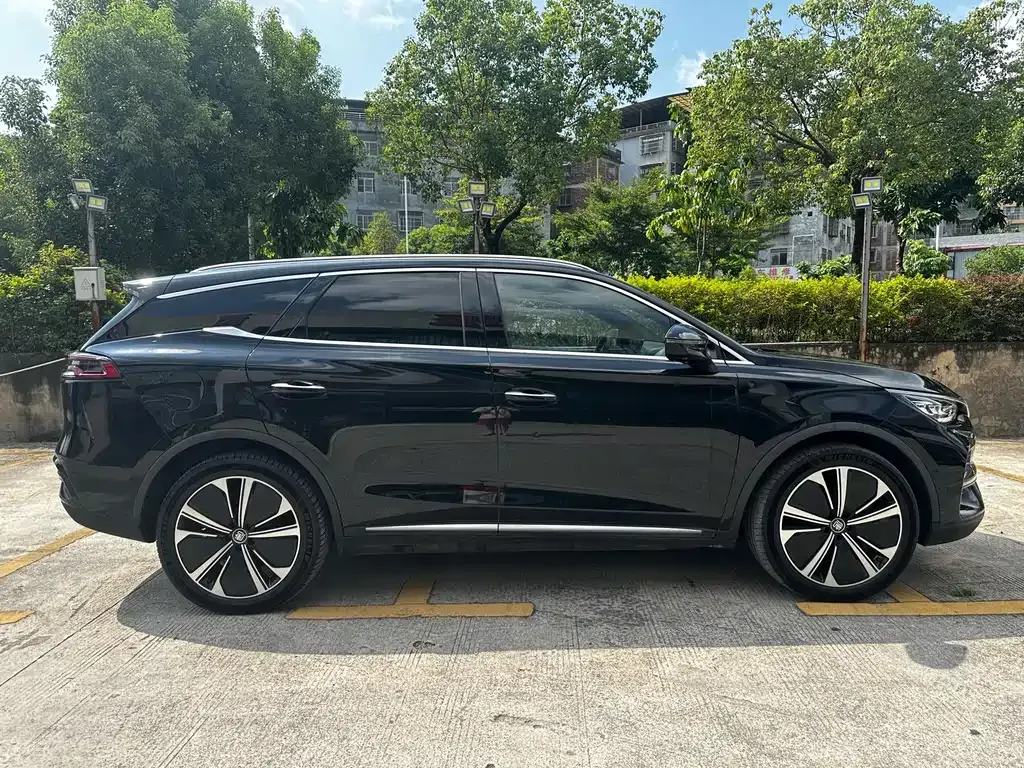 BYD Tang New Energy 2024 из CN, фото 4