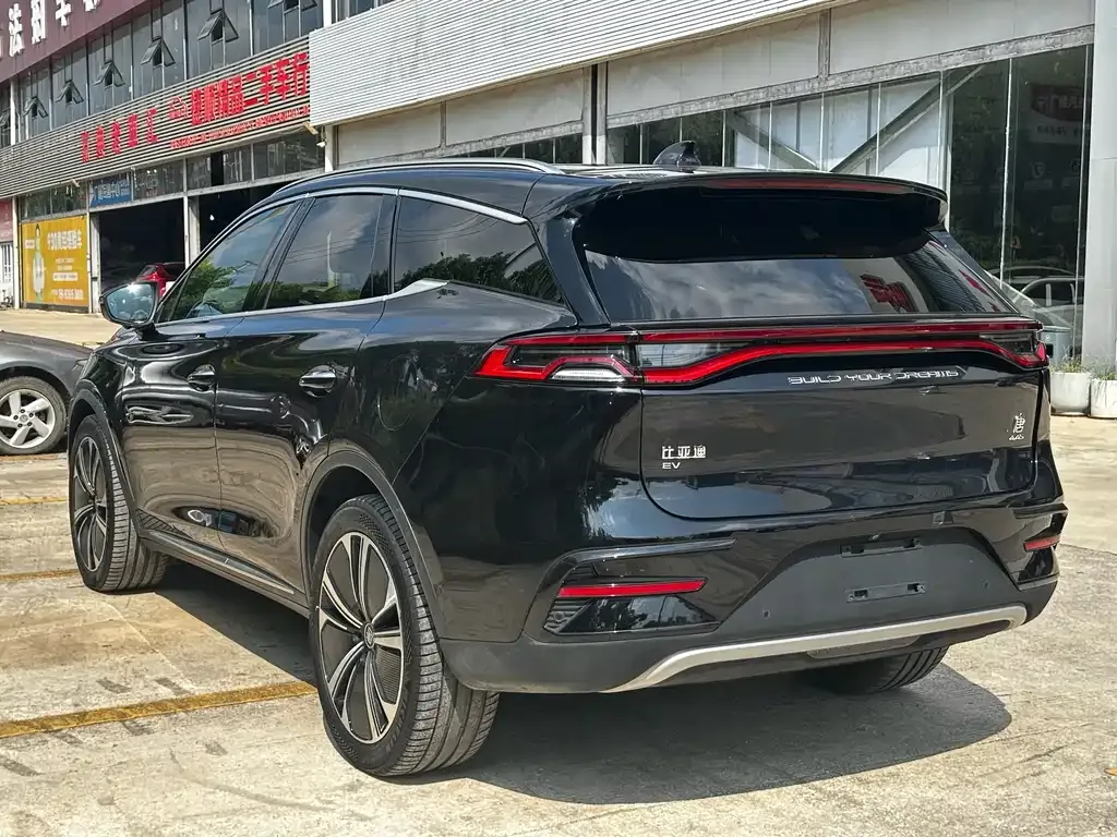 BYD Tang New Energy 2024 из CN, фото 5