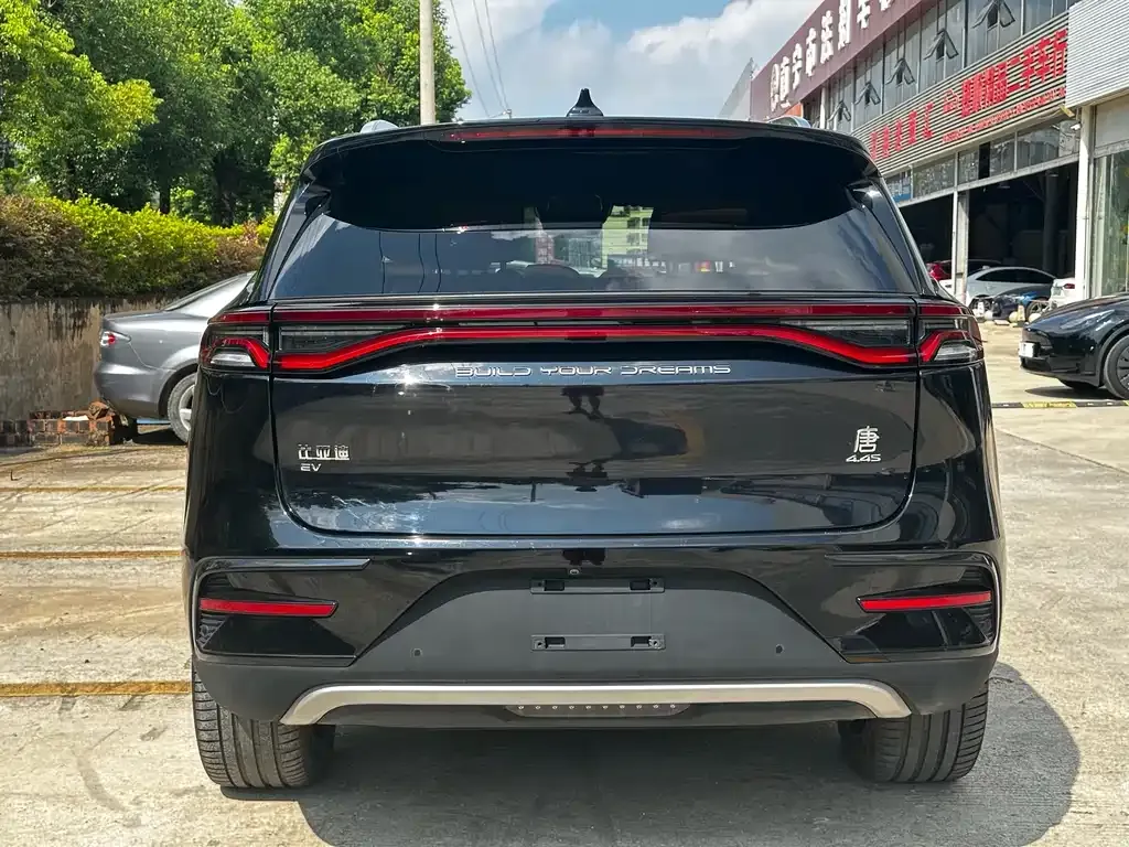 BYD Tang New Energy 2024 из CN, фото 6