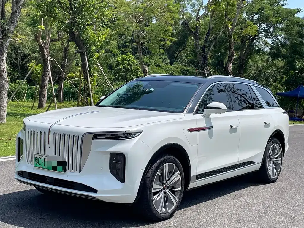 Hongqi E-HS9 2021 из CN, фото 1
