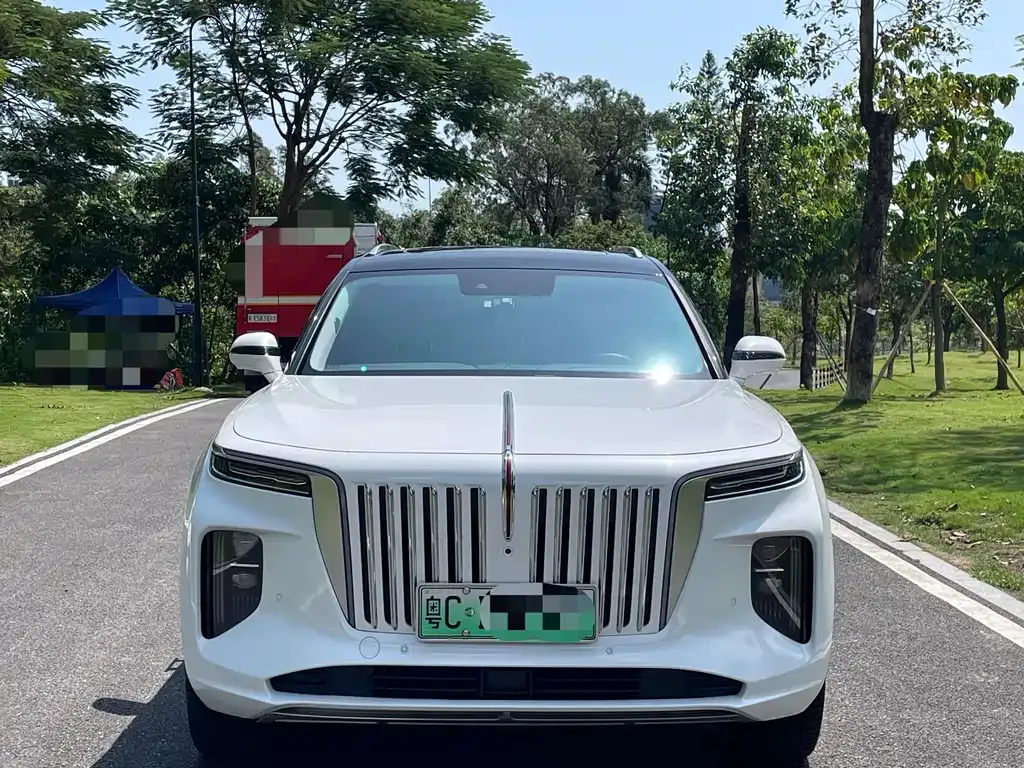 Hongqi E-HS9 2021 из CN, фото 2