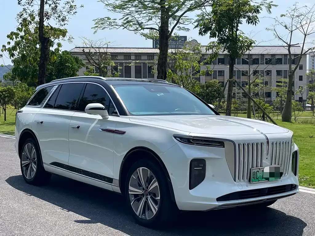 Hongqi E-HS9 2021 из CN, фото 3