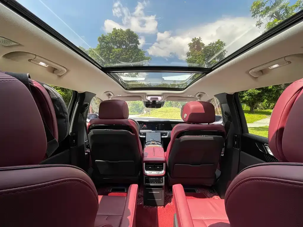 Hongqi E-HS9 2021 из CN, фото 5
