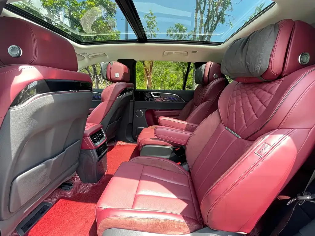Hongqi E-HS9 2021 из CN, фото 6