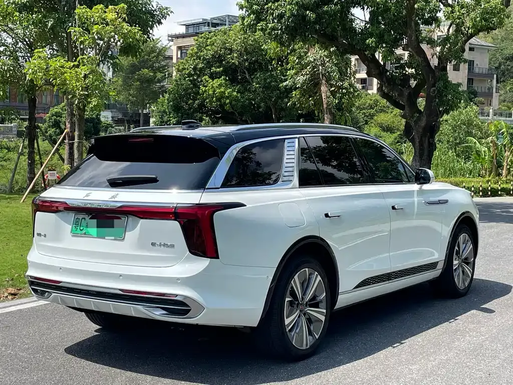Hongqi E-HS9 2021 из CN, фото 7