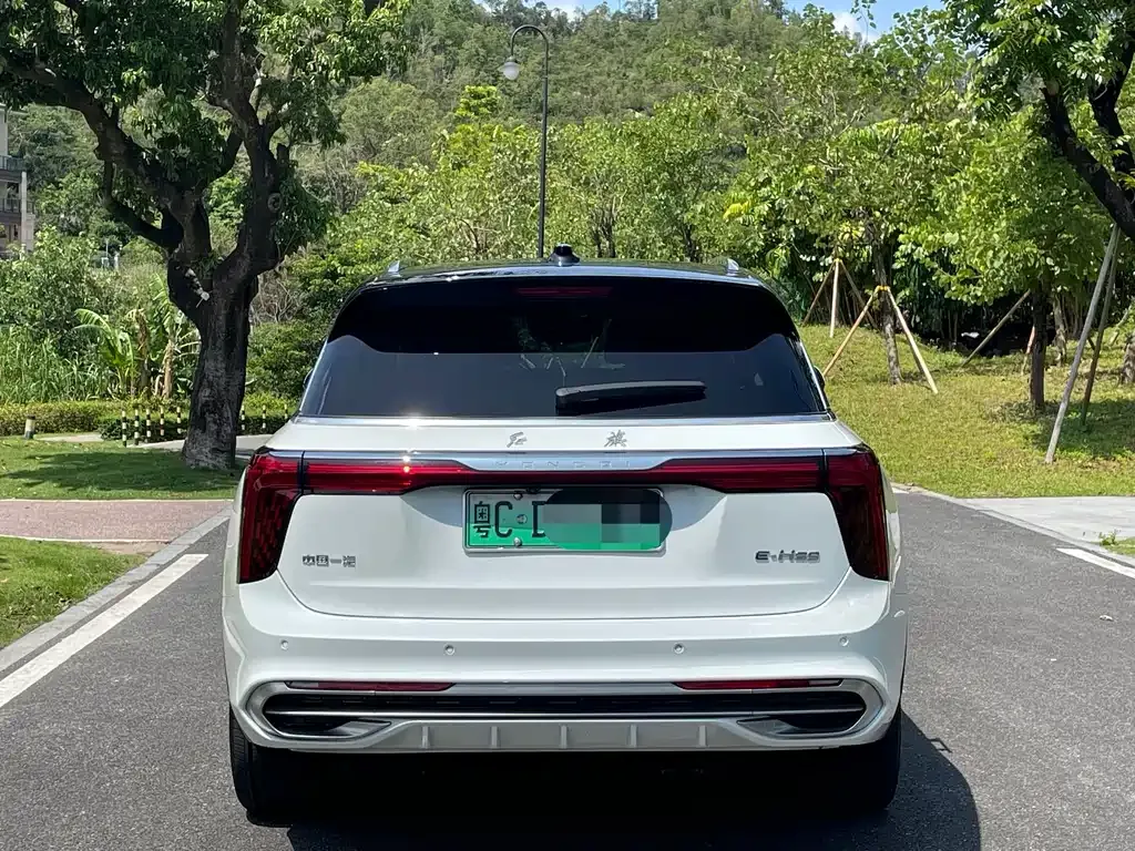 Hongqi E-HS9 2021 из CN, фото 8