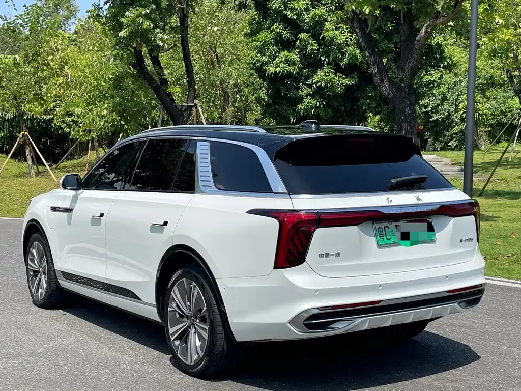 Hongqi E-HS9 2021 из CN, фото 9