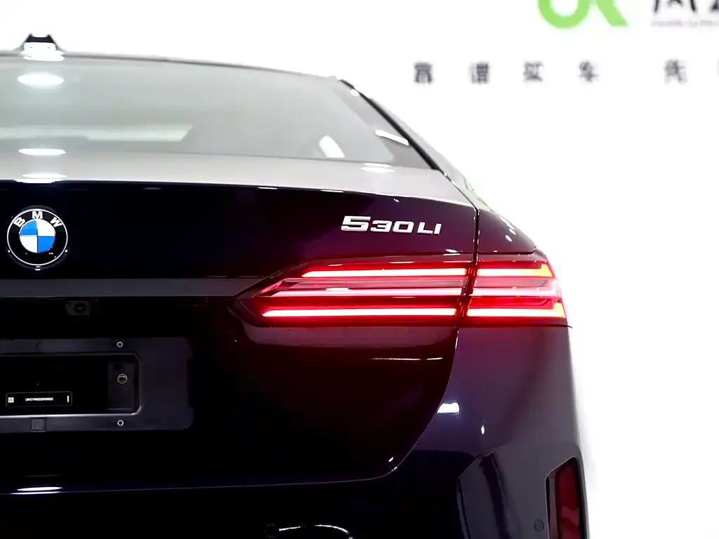 BMW 5 Series 2025 из CN, фото 10