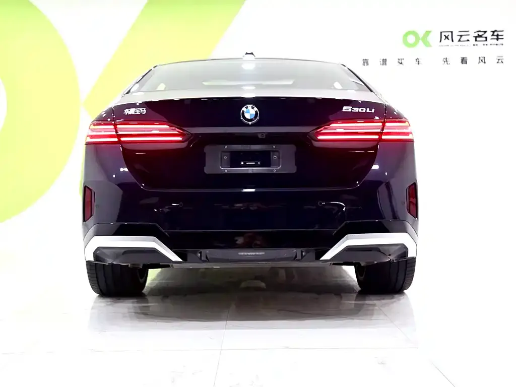 BMW 5 Series 2025 из CN, фото 5