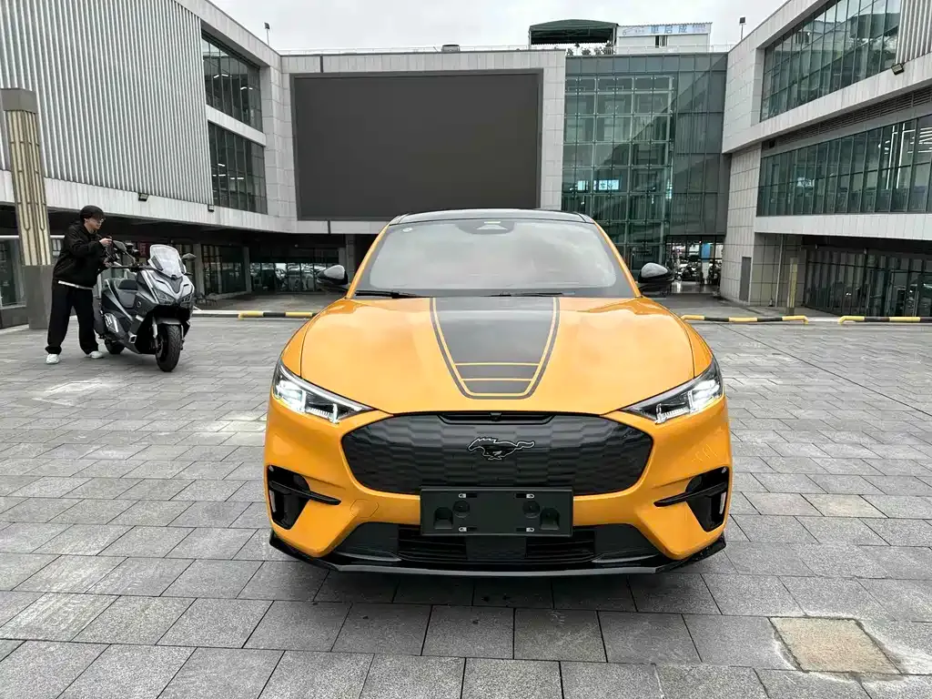 Ford Mustang Mach-E 2024 из CN, фото 9