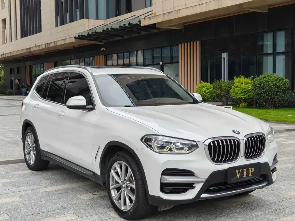 BMW X3 2021 из CN, фото 3