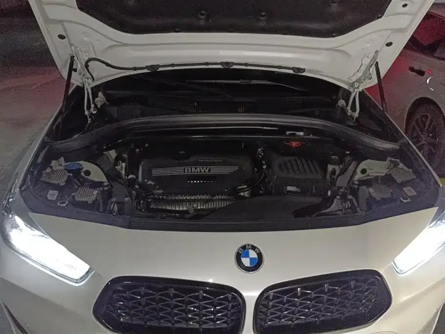 BMW X2 2021 из CN, фото 10