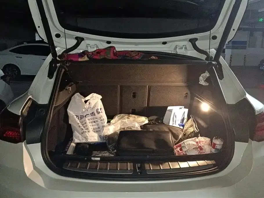 BMW X2 2021 из CN, фото 4