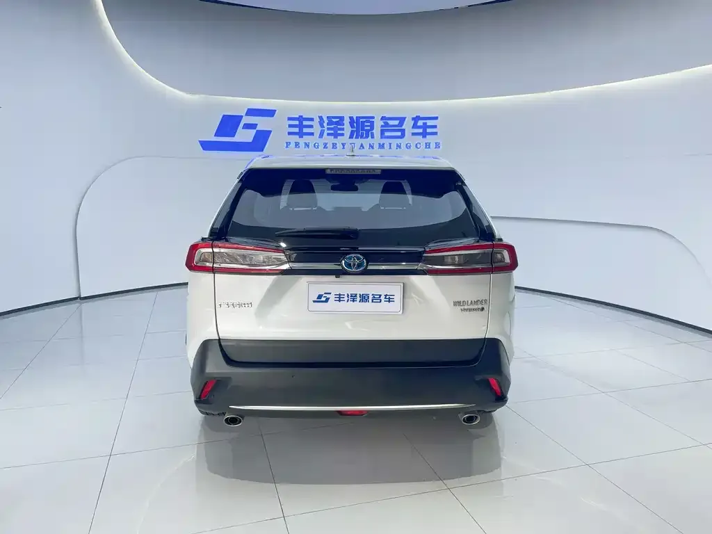 [object Object] Wildlander 2023 из CN, фото 5