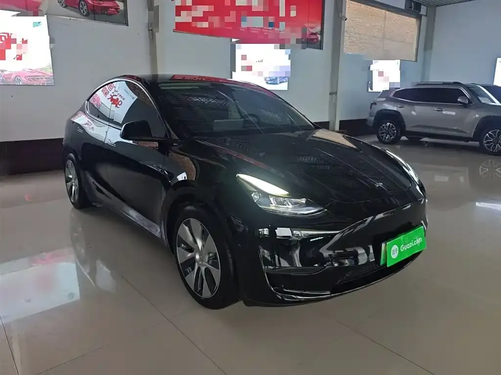 Tesla Model Y 2021 из CN, фото 4