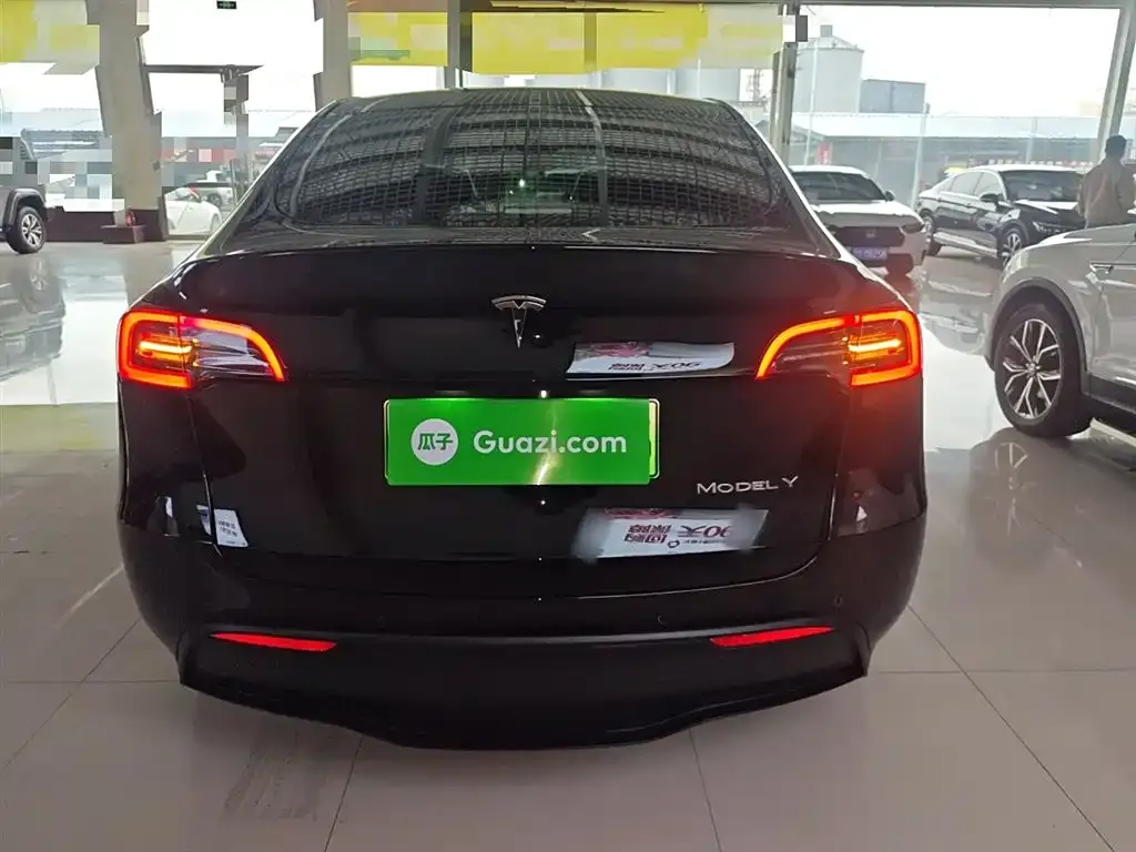 Tesla Model Y 2021 из CN, фото 6