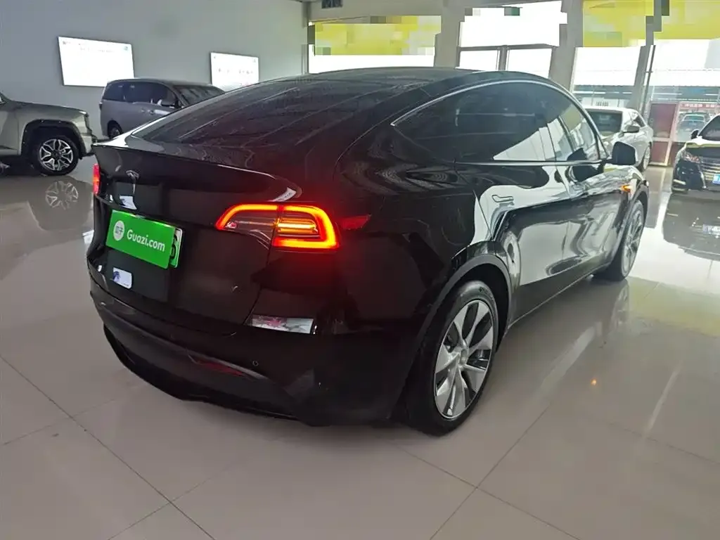 Tesla Model Y 2021 из CN, фото 7