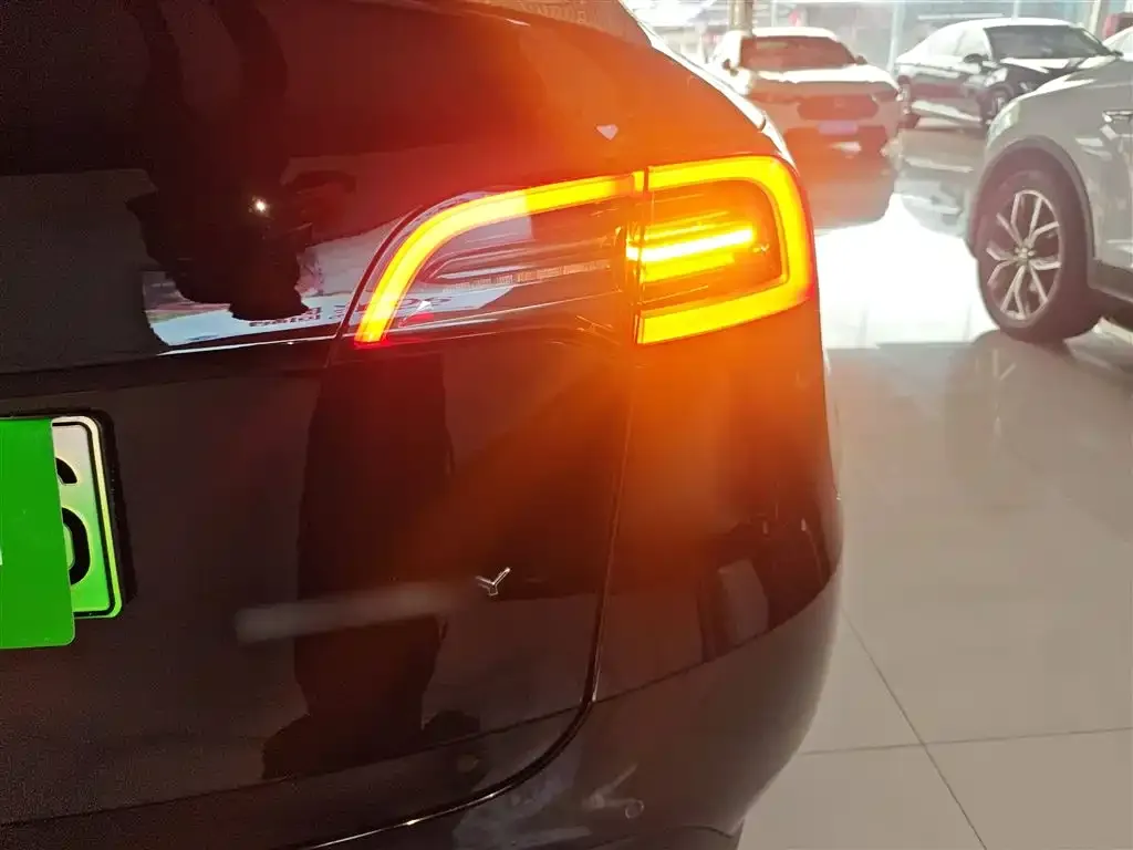 Tesla Model Y 2021 из CN, фото 8