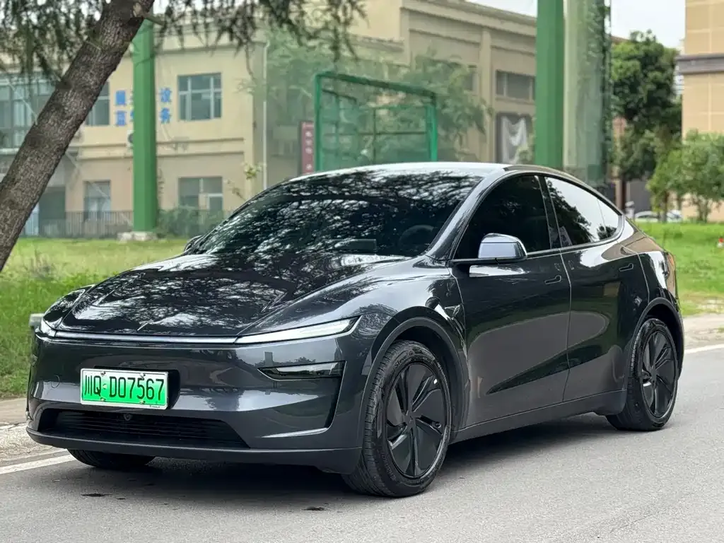 Tesla Model Y 2025 из CN, фото 1