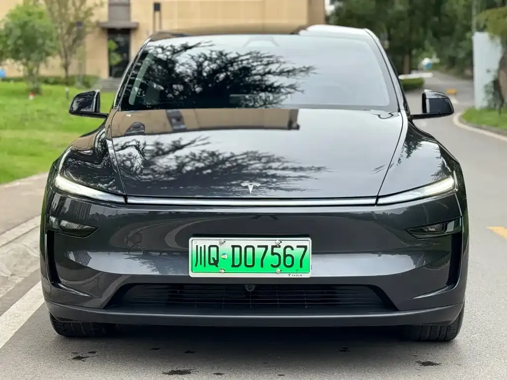 Tesla Model Y 2025 из CN, фото 2