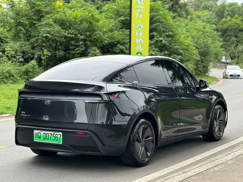 Tesla Model Y 2025 из CN, фото 4