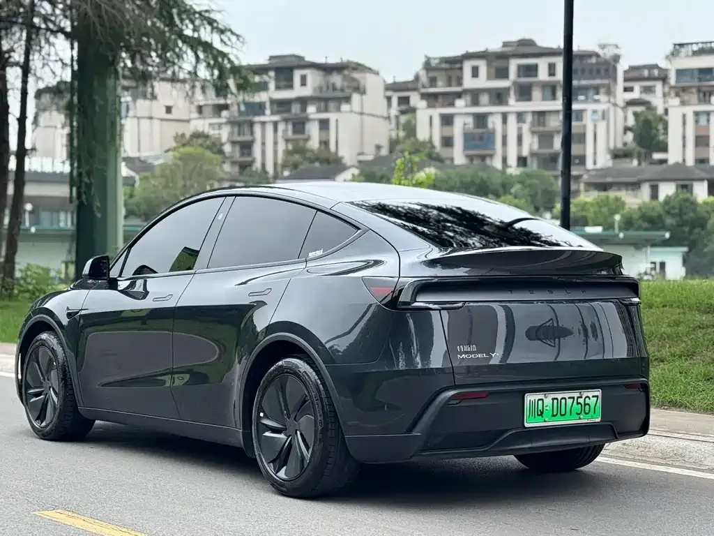 Tesla Model Y 2025 из CN, фото 6