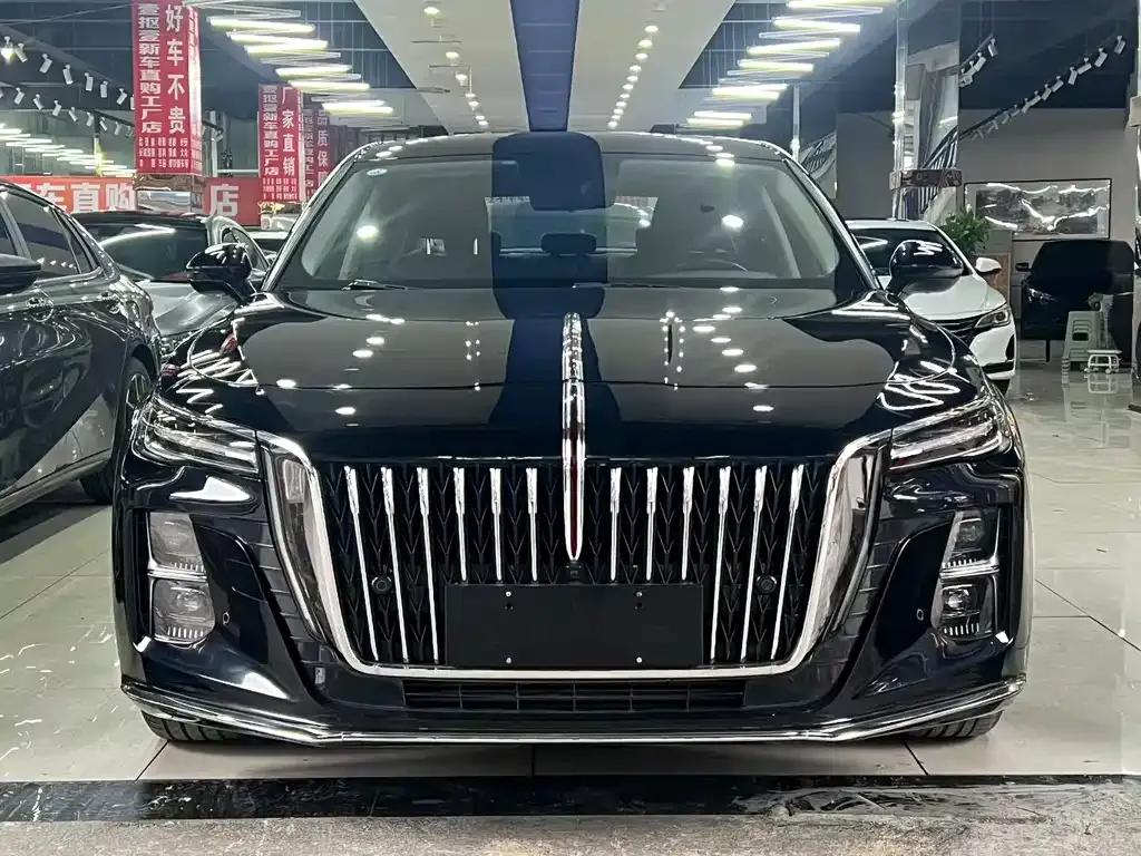 Hongqi H5 2023 из CN, фото 2