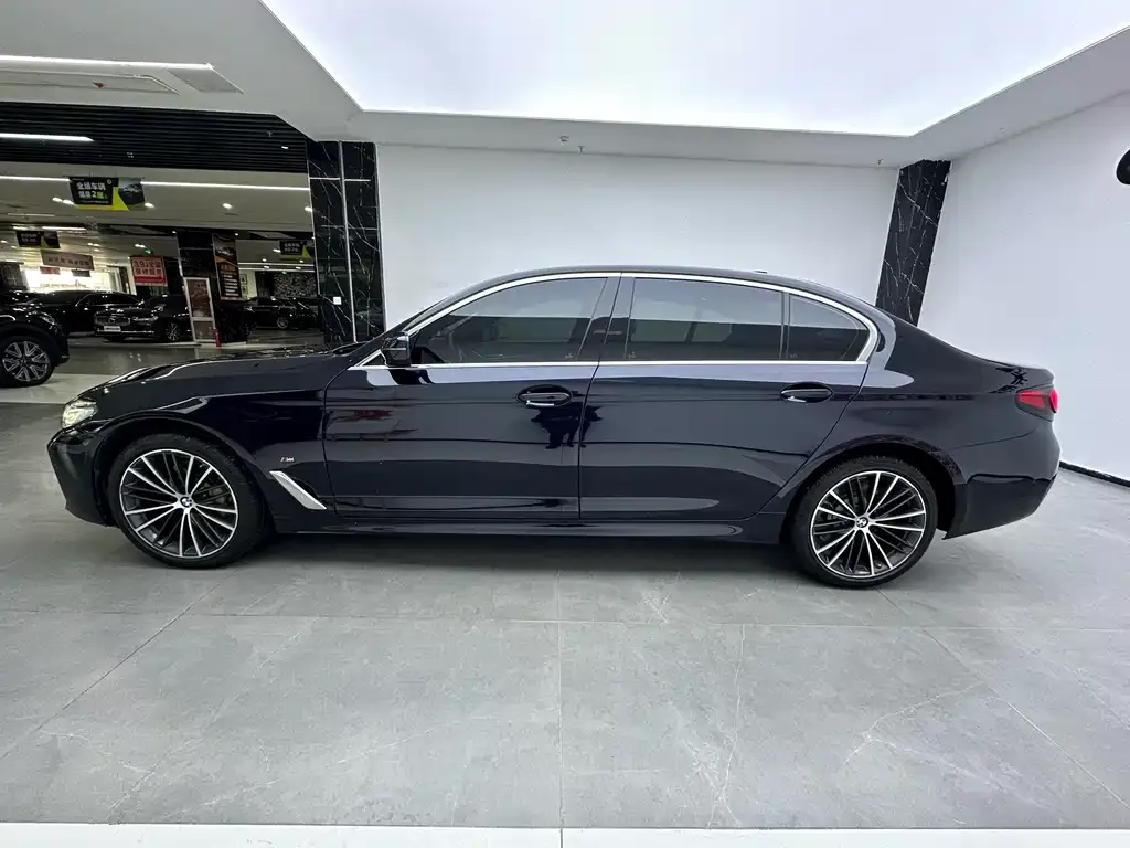 BMW 5 Series 2023 из CN, фото 7