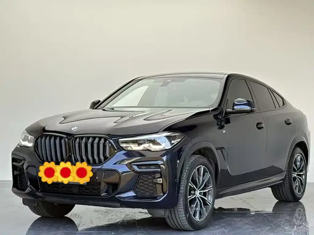 BMW X6 2023 из CN, фото 1