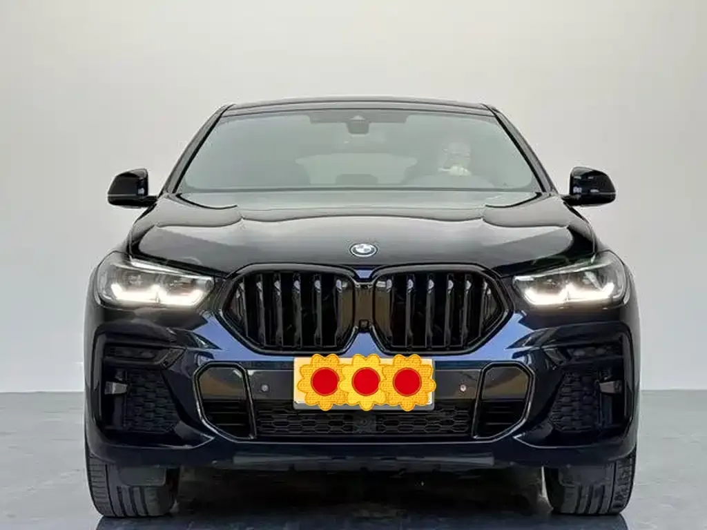 BMW X6 2023 из CN, фото 2