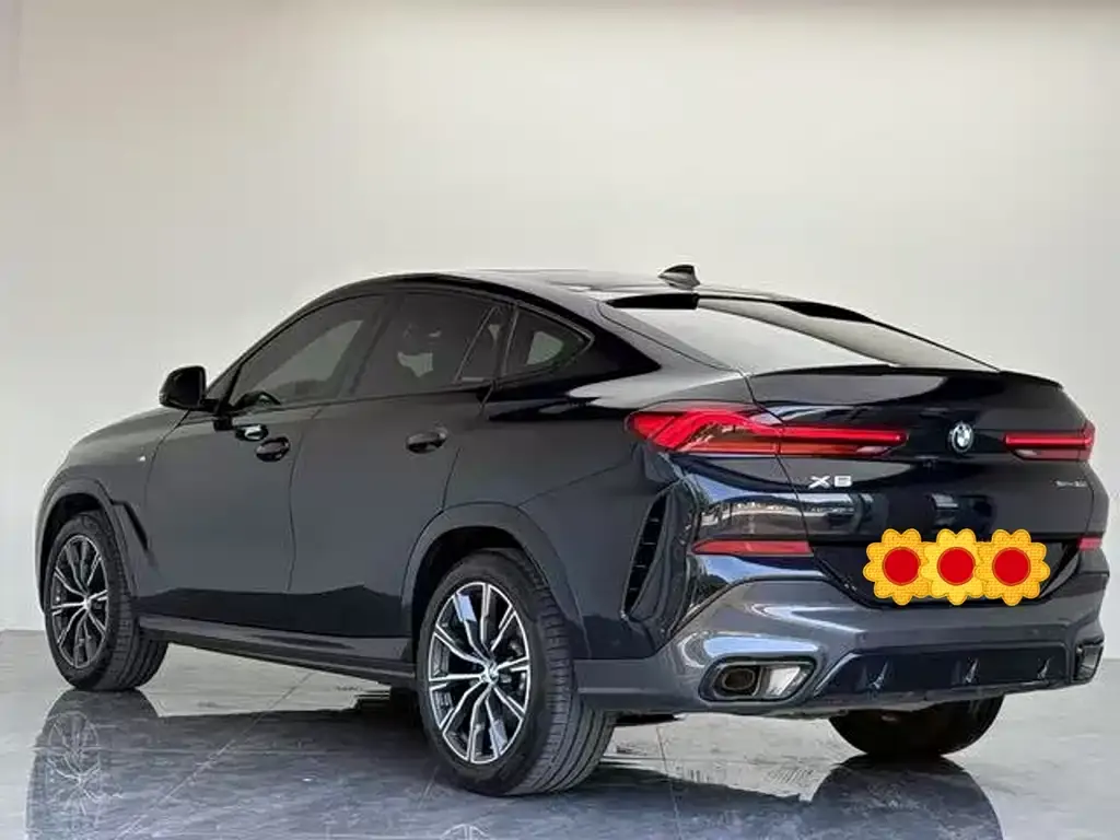 BMW X6 2023 из CN, фото 3