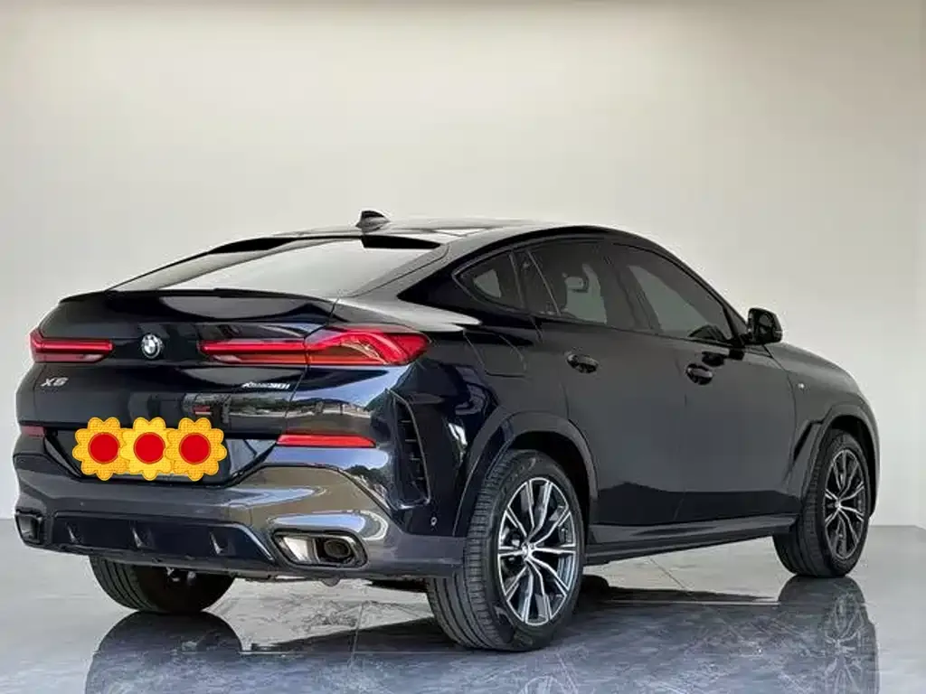 BMW X6 2023 из CN, фото 4