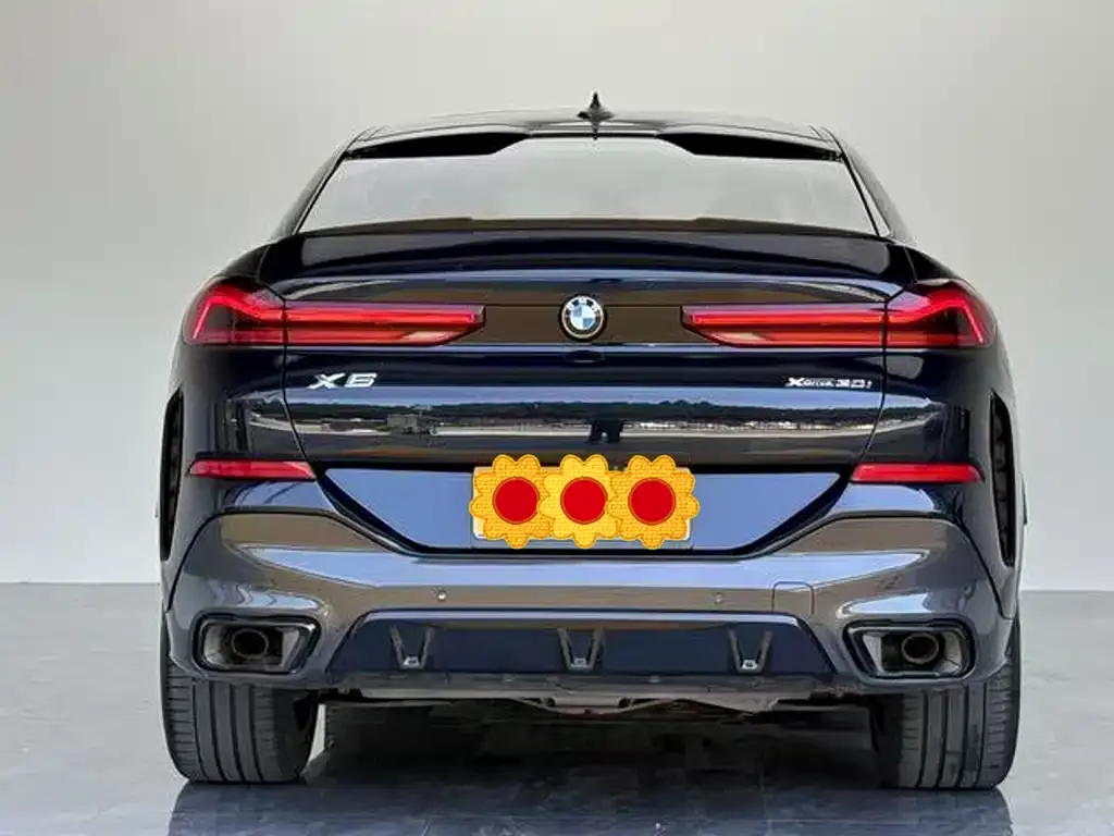 BMW X6 2023 из CN, фото 6