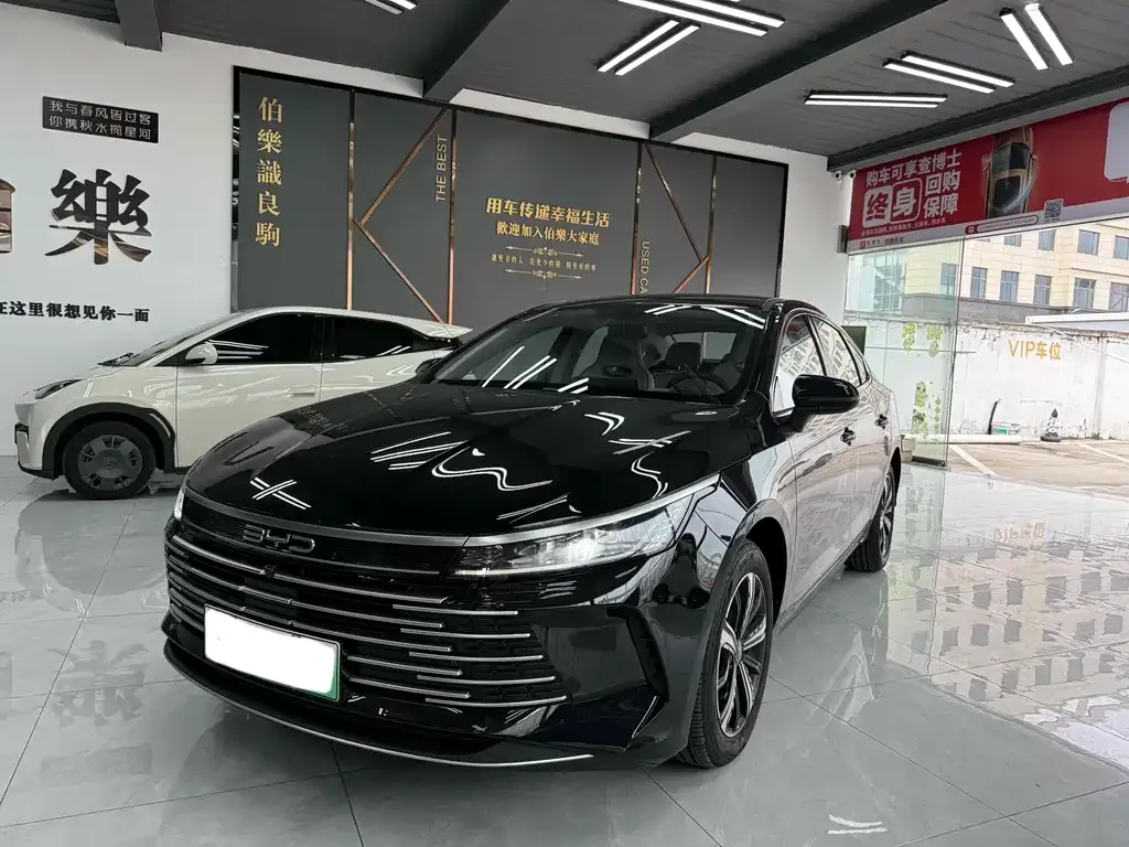 BYD Destroyer 05 2025 из CN, фото 1