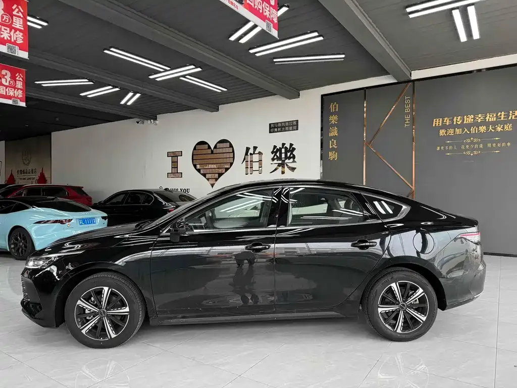 BYD Destroyer 05 2025 из CN, фото 3