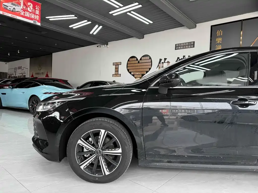 BYD Destroyer 05 2025 из CN, фото 4