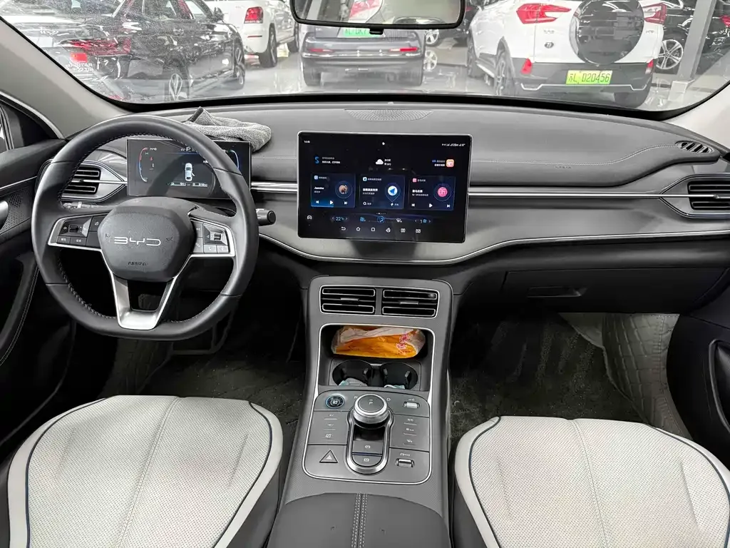 BYD Destroyer 05 2025 из CN, фото 6