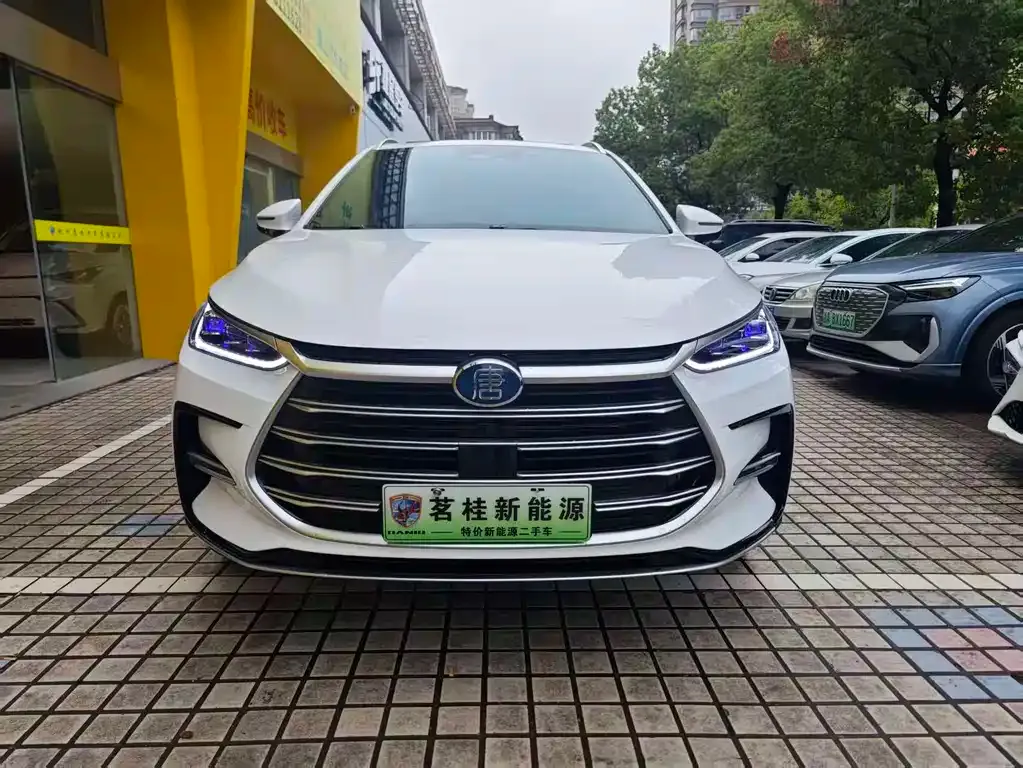 BYD Tang New Energy 2024 из CN, фото 3