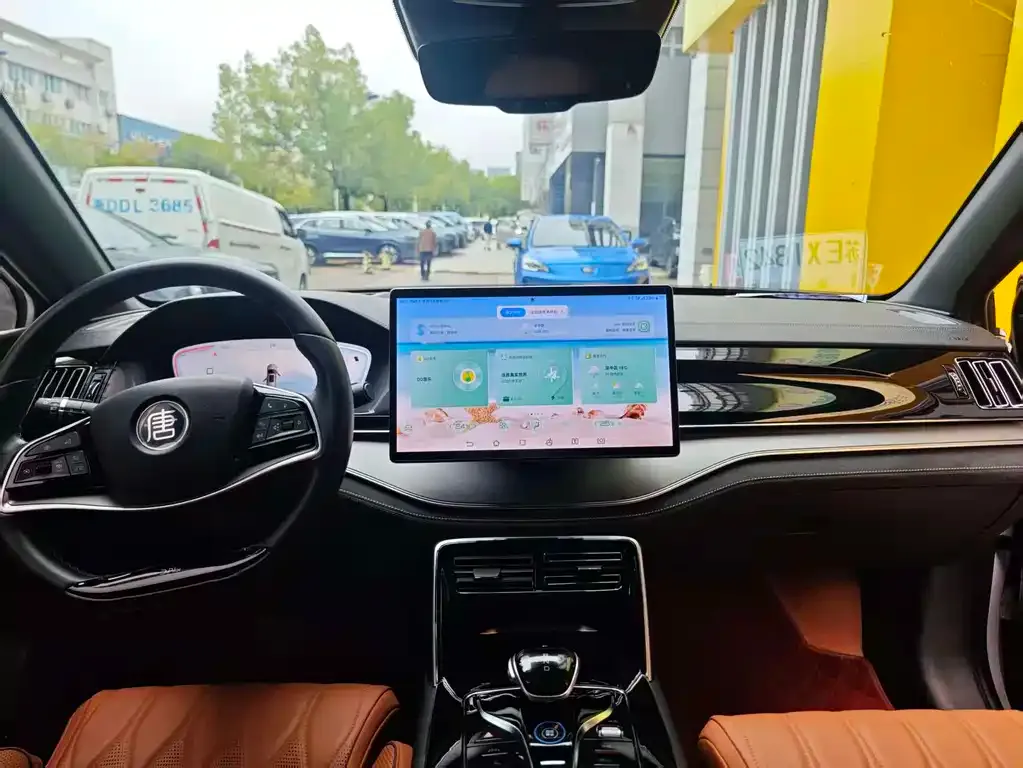 BYD Tang New Energy 2024 из CN, фото 9