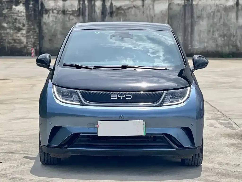 BYD Dolphin 2024 из CN, фото 2