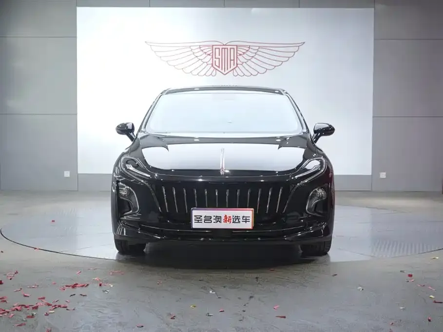 Hongqi E-QM5 — фото 2