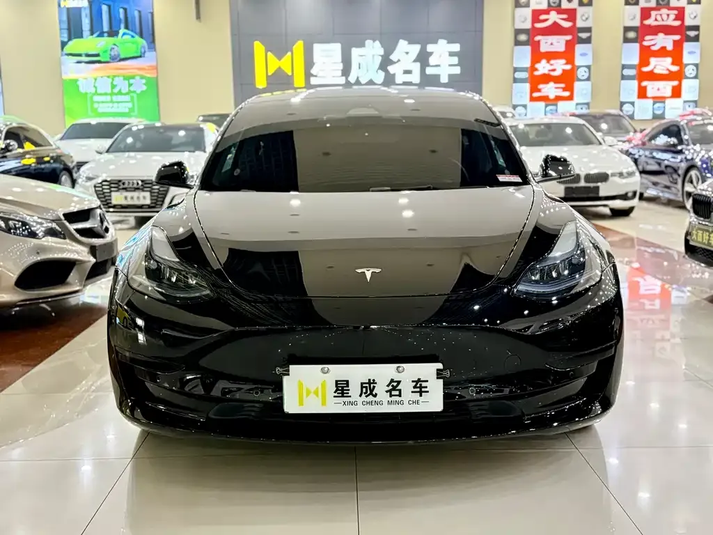 Tesla Model 3 2023 из CN, фото 2