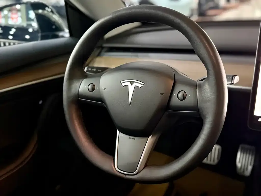 Tesla Model 3 2023 из CN, фото 7