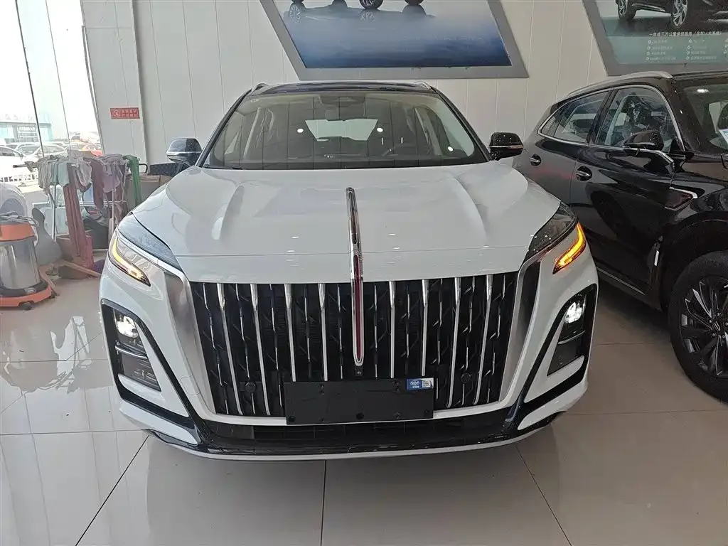 Hongqi HS3 2023 из CN, фото 3