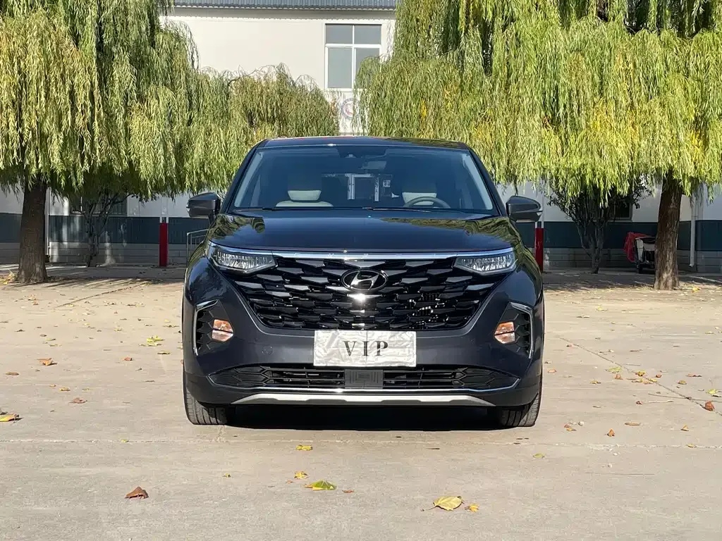 Hyundai Custo 2022 из CN, фото 2