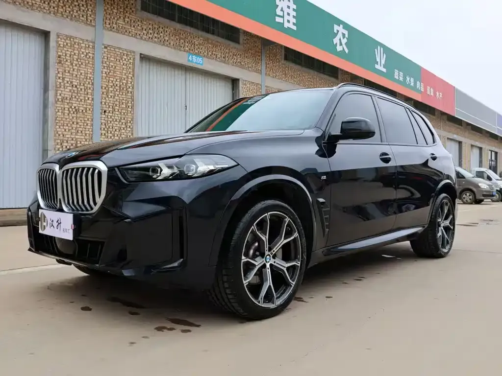 BMW X5 2025 из CN, фото 1