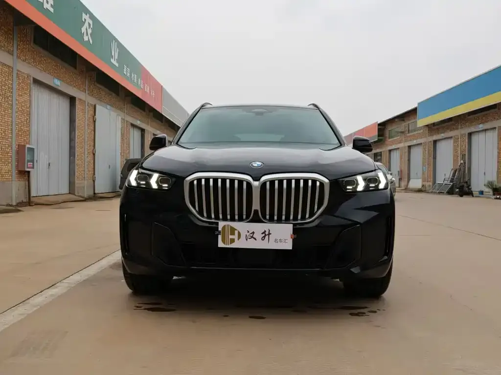 BMW X5 2025 из CN, фото 2