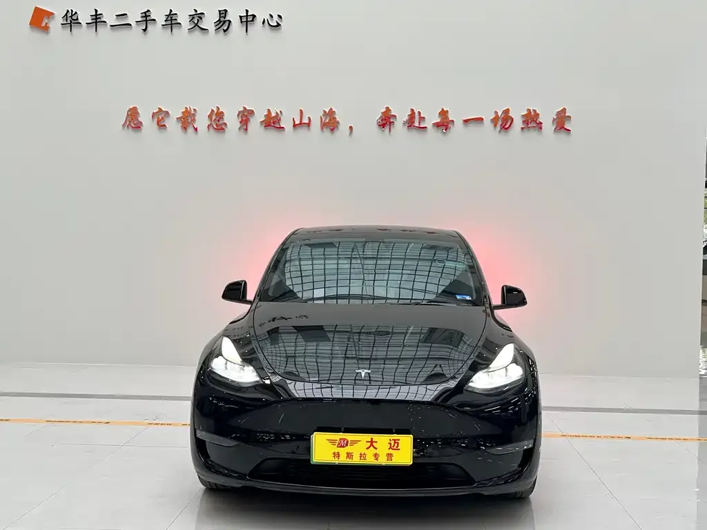Tesla Model Y — фото 2