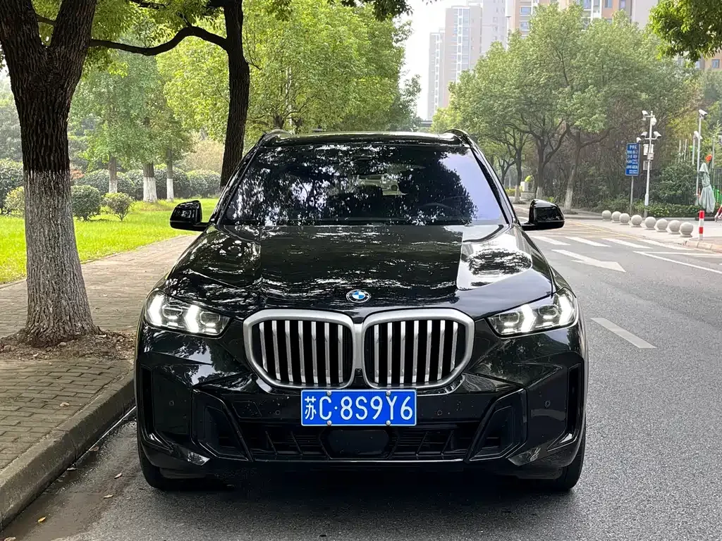 BMW X5 2024 из CN, фото 4