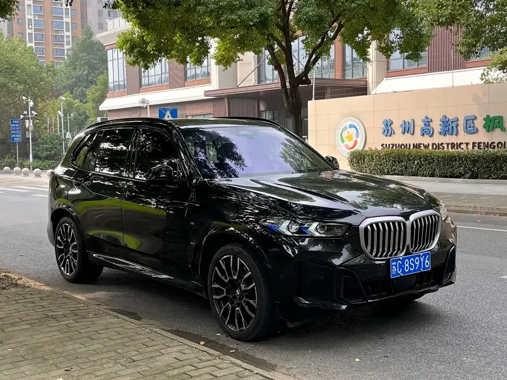 BMW X5 2024 из CN, фото 5